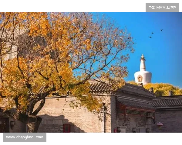 胡同巷口的故事:走进北京老街的时光隧道 胡同巷口的故事:走进北京老街的时光隧道