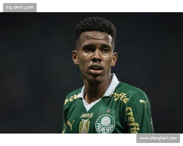 国际足联俱乐部世界杯帕尔梅拉斯队杜杜助攻